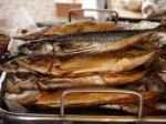 Assorted Mackerel and Fillets