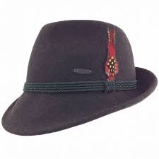 Brown Alpine wool  German Hat